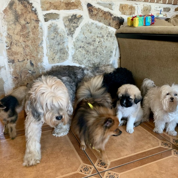 💌 @ccvintageresale Jen is LIVE ✨ Pop in anytime relaxed vibes & cute finds - Picture 5 of 15